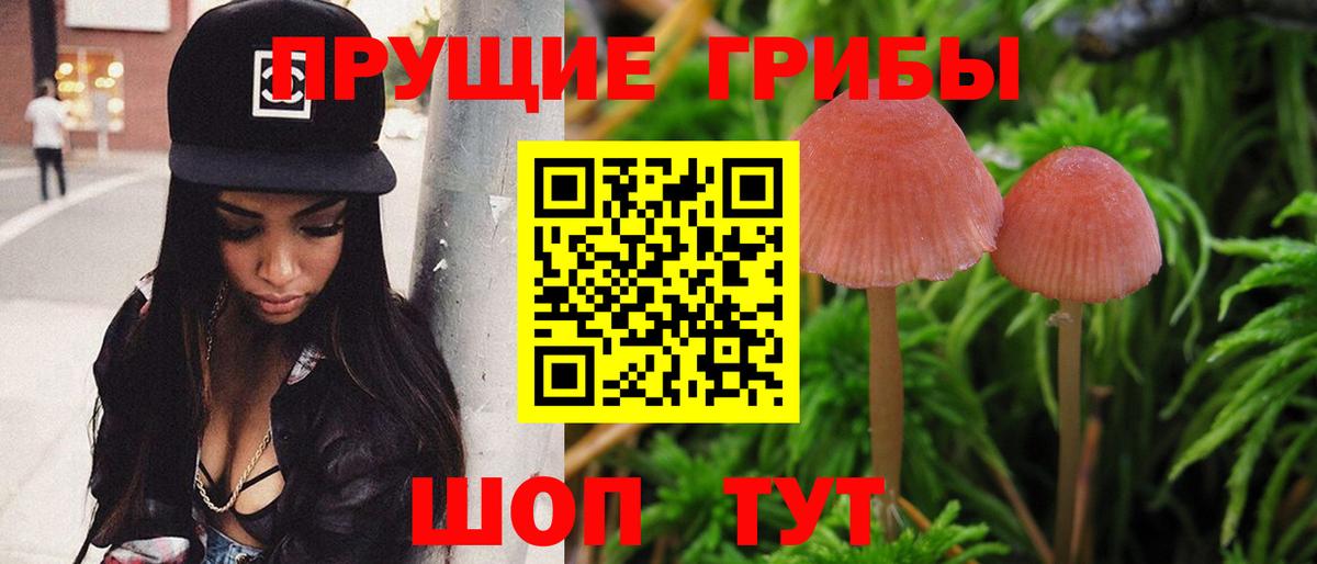 Кольчугино  Галлюциногенные грибы Psilocybe  Галлюциногенные грибы GOLDEN TEACHER  Вход с VPN 