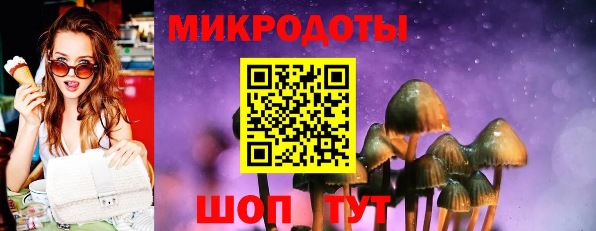 Псилоцибиновые грибы Magic Shrooms Кольчугино